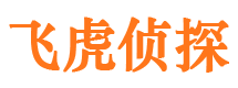 萨嘎市私家侦探